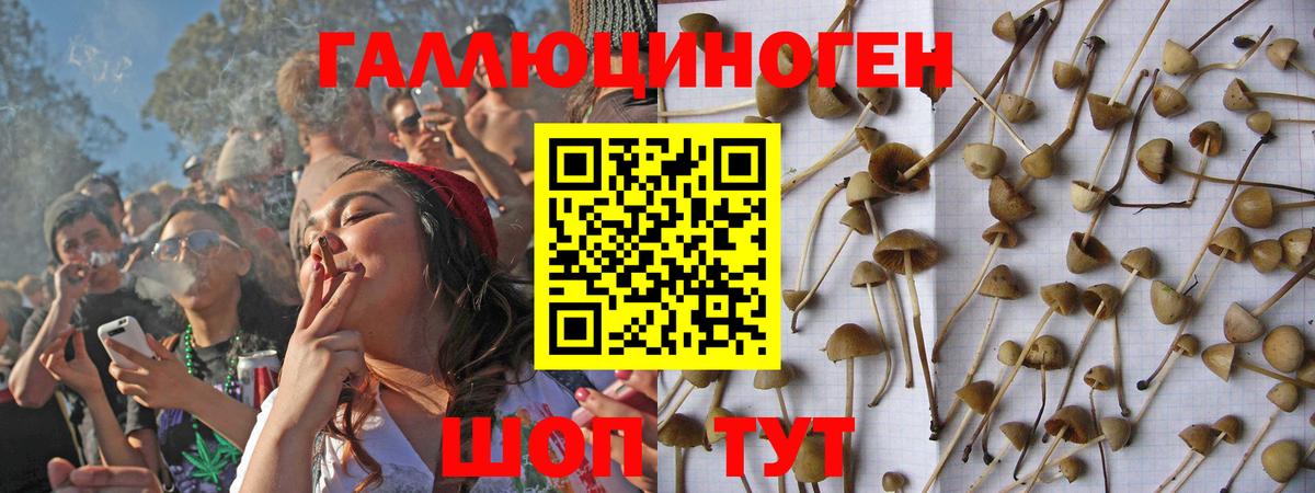 Галлюциногенные грибы мухоморы  дарнет шоп  Галлюциногенные грибы Psilocybine cubensis  Нальчик  Вход с VPN 